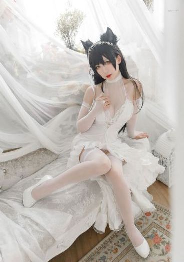 特洛伊电影删减版_BD视频大全